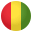 guinea.png