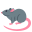 rat