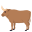 ox