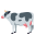 cow