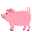 pig