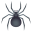 spider