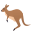 kangaroo