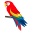 parrot