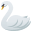 swan