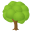 deciduous tree