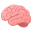 brain